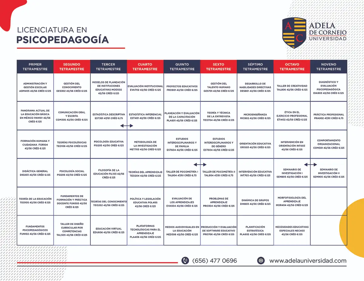 Programa de Estudio